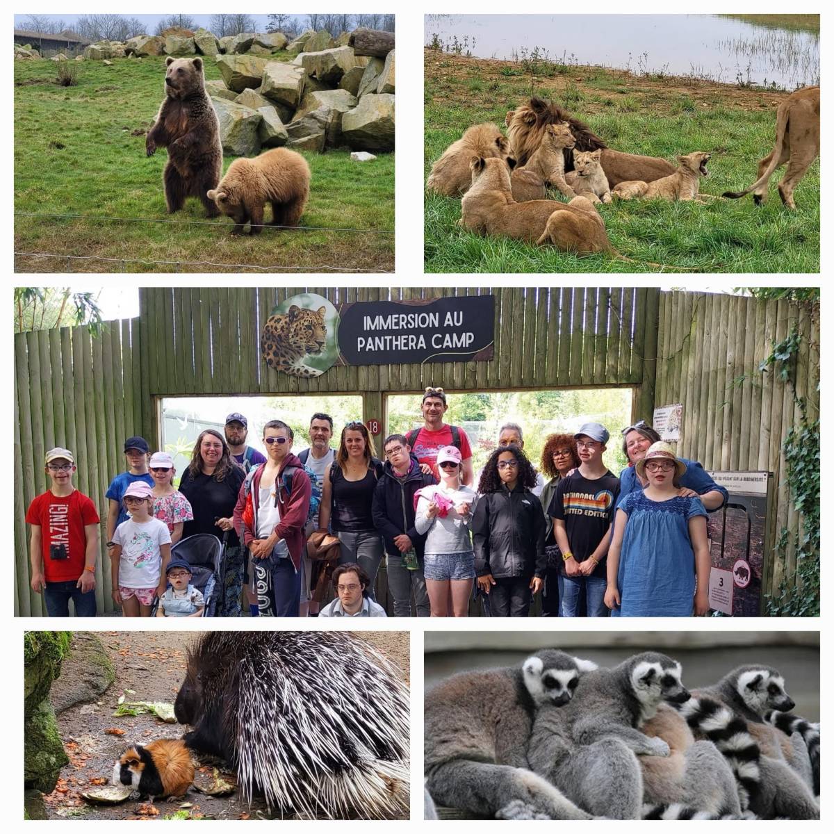 Sortie au Zoo